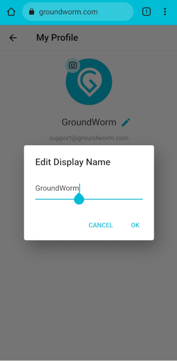 Edit Display Name in GroundWorm